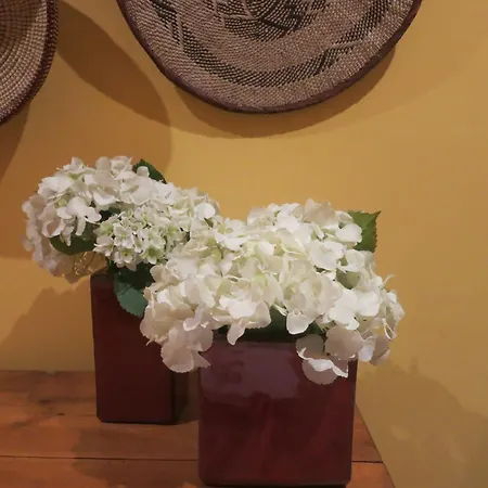 別荘 Casa Da Encosta *